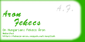 aron fekecs business card